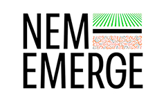 Logo NEM-EMERGE