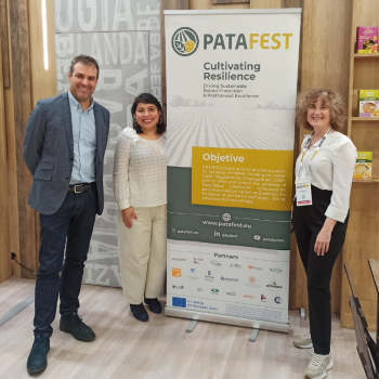 PataFEST web- alimentaria