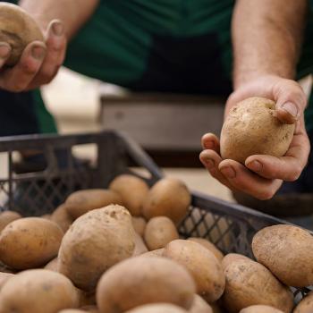 Peasant selling potatoes