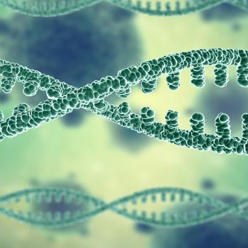 Potato Genome Breakthrough