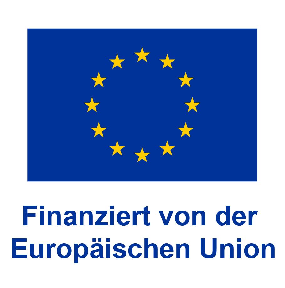 Finanziert von der Europäischen Union